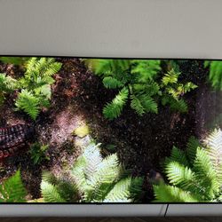 LG C1 65 Inch oled