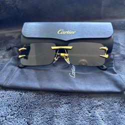 Cartier glasses