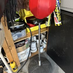 Punching Bag