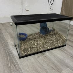 10 Gallon Tank