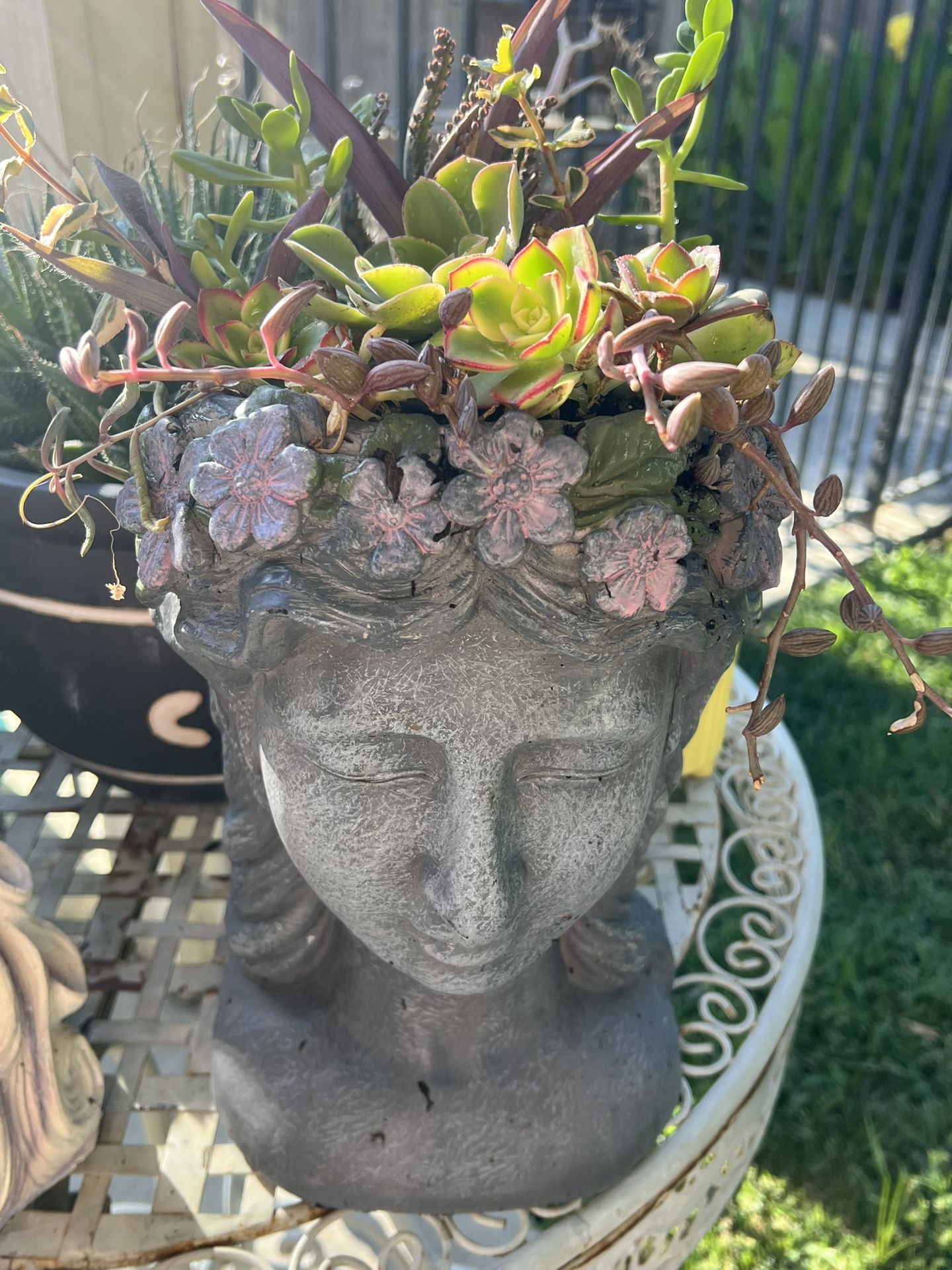 Large Succulent Bust Planter