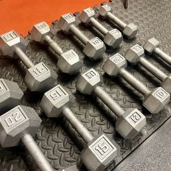 The Couple's Set... Cast Iron Hex Dumbbells: 5s, 8s, 10s, 12s, 15s, 20s, 25s and 30 pounders. Brute W= 250#