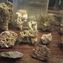 Coral Reef Rocks 