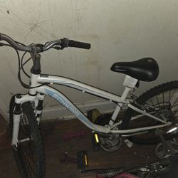 Schwinn 20 Inch