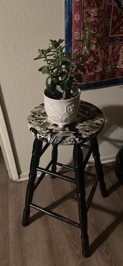 Plant with stands both for $30