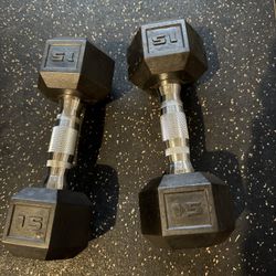 15lb Dumbbell Pair