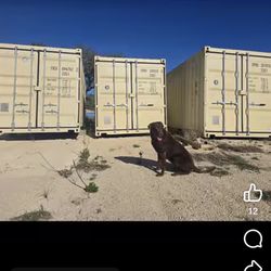 20 Foot One Trip Containers