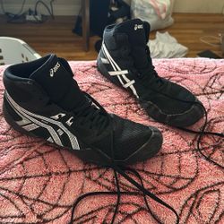 Wrestling Shoes 