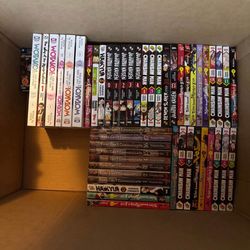 Manga / Anime figures