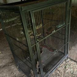 Parrot Cage