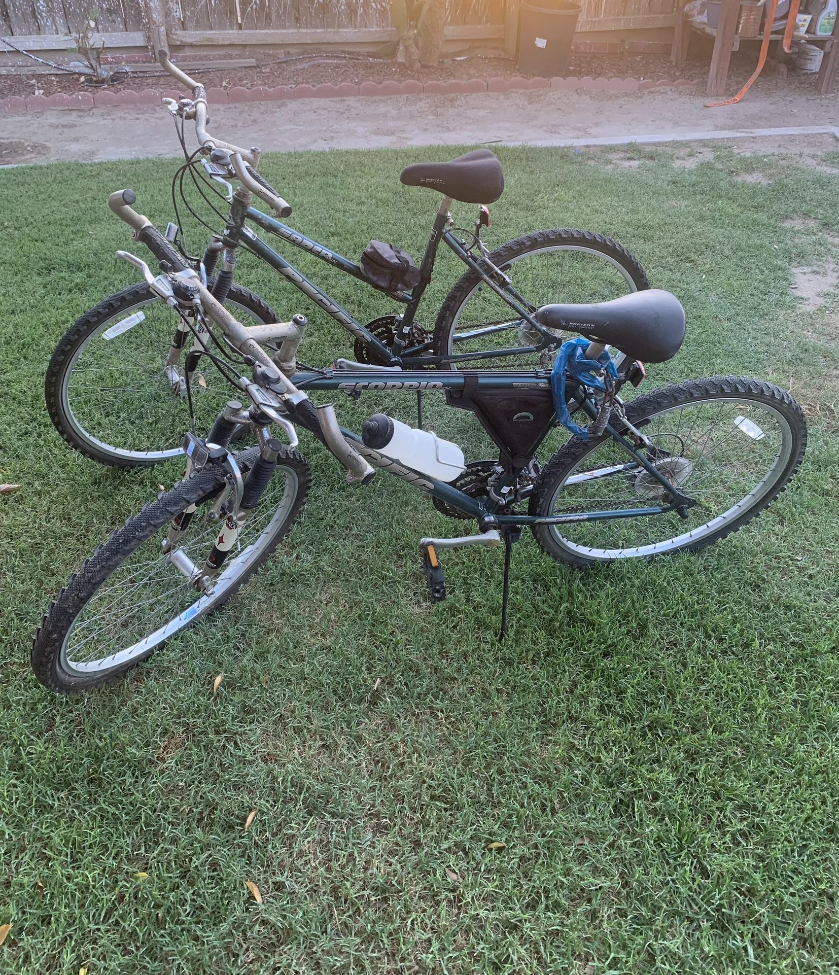 Pacific Mountain Bikes 