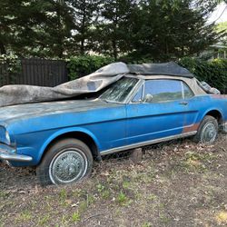 1965 Ford Mustang