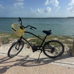 Electra Townie/ Tall Frame / Perfect Condition