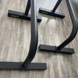 Ignite Push Up Bars 