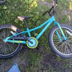 Specialized Riprock Coaster 20 Inch Girls Bike