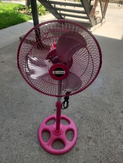 Fan