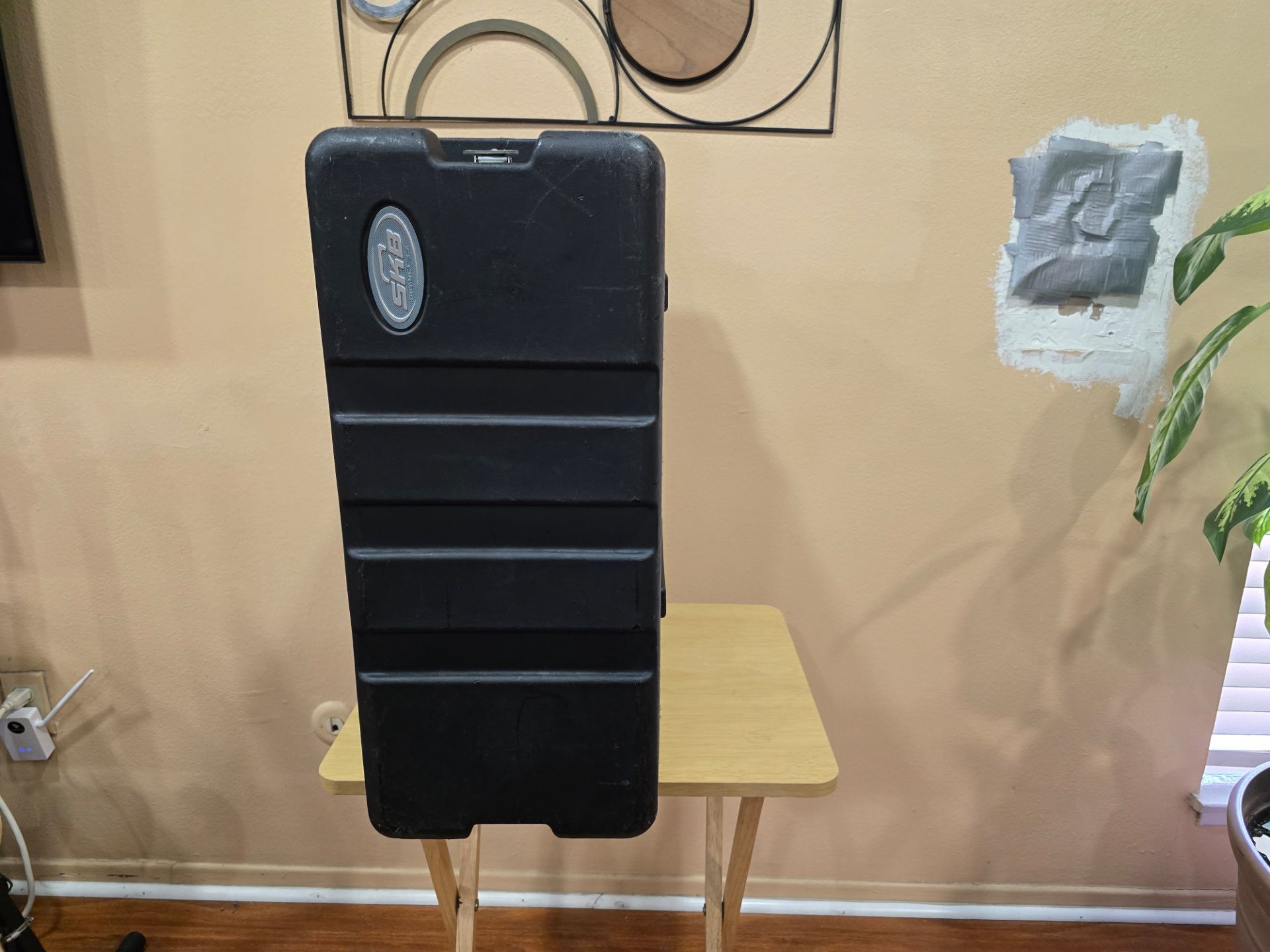 skb 3 rack case