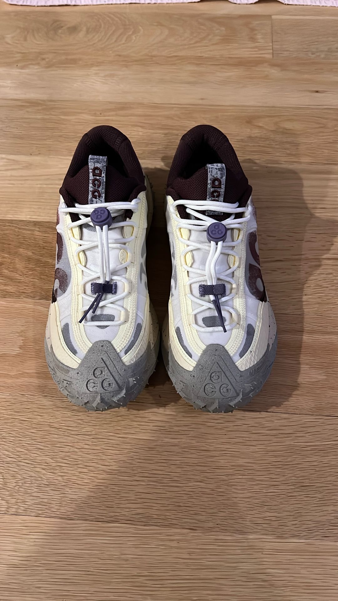 Nike ACG mountain fly 2 Shoes