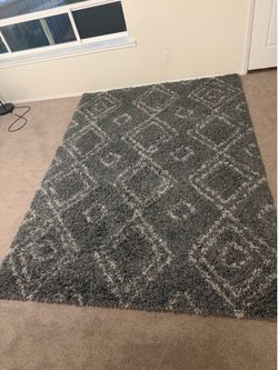 Easy shag carpet 6’7” x 9”