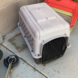 dog cage 