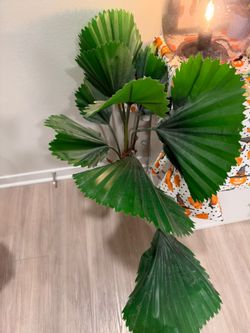 Faux Fan Palm Plant - Big, Lush and Zero Maintenance