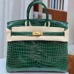 Beautiful Women Handbag 