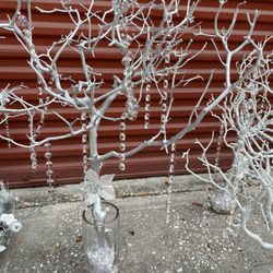 3 Ft Manzanita Trees  $50 each 