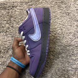 nike sb duke low lobster size 8