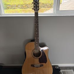 Ibanez PF5ECE Acoustic Guitar