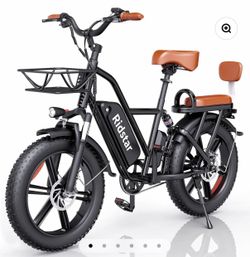 Ridstar® FM001 2-Seater Fat Tire Electric Bike