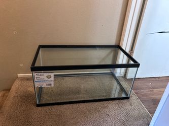Glass Aquarium