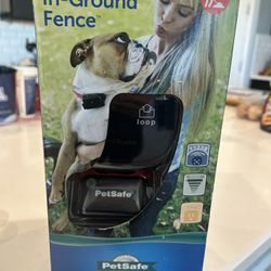 Invisible Fence For Pets