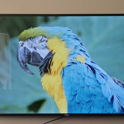 MOVING MUST SELL .. TCL 65" LED 4K ROKU SMART TV