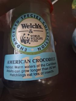 Classic Welch's Jars Set Of 12 With Lids