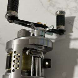 Shimano Calcutta TE DC 201 