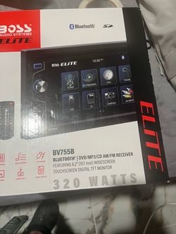 Boss audio system