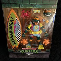 Teenage Mutant Ninja Turtle 