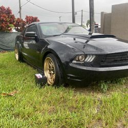5.0 Mustang 302 Boss 