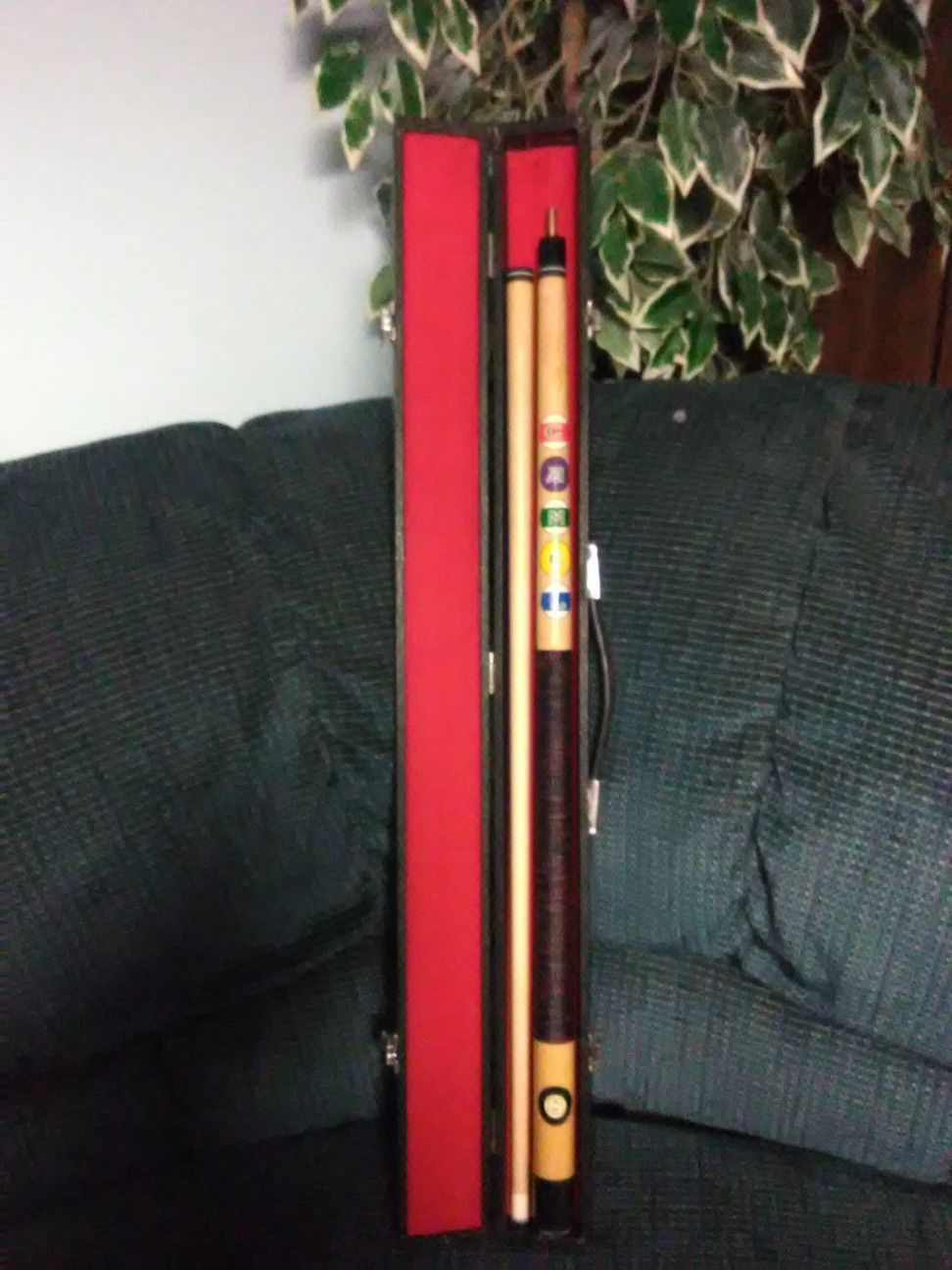 CAMEL POOL CUE AND HARD CASE