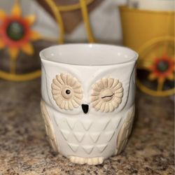 Owl Ceramic Glass Planter Of Owl Winking
