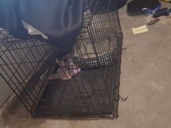 Xl dog cage