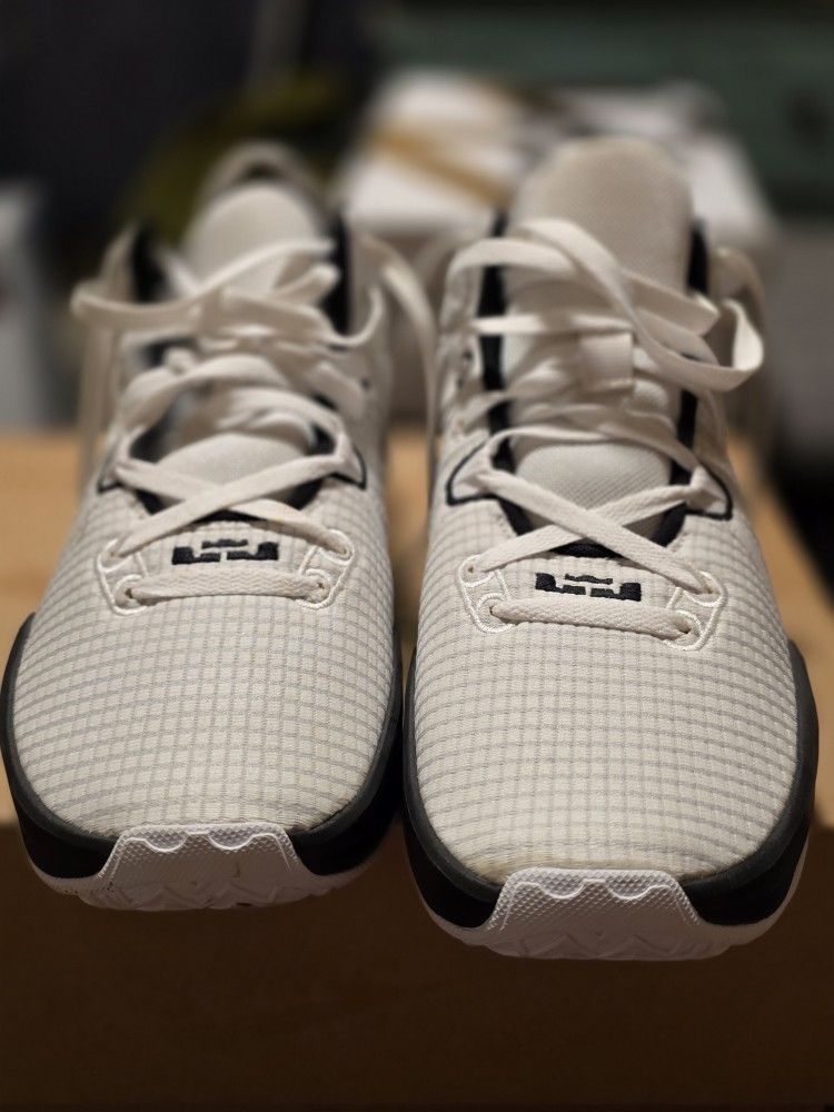 Nike Lebron Witness 7 Tb #12