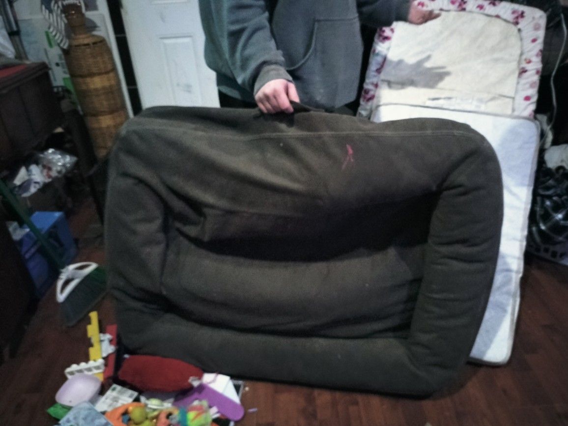 Decent Dog Bed For Bigger Dog 