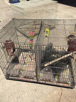 Two room bird cage