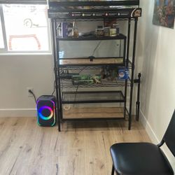 Tanks Reptile 🦎  🐍 