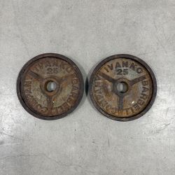 25lb Weight Plates