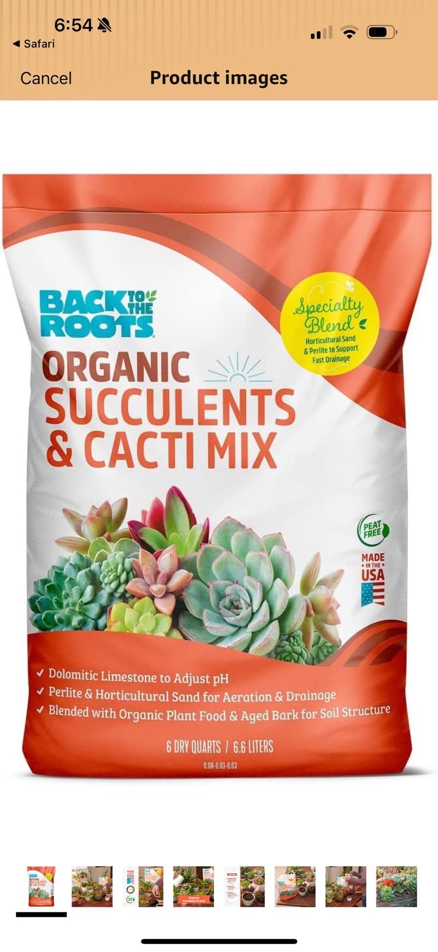 2 Organic succulents And Cactus Mix