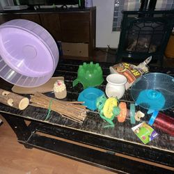 NiteAngel Large Hamster Wheel + Accessories 