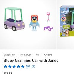 Bluey Grannies Car