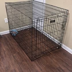 Large dog cage